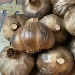 Ail Noir de Lautrec (France) 100gr Le Meilleur Prix du Marché