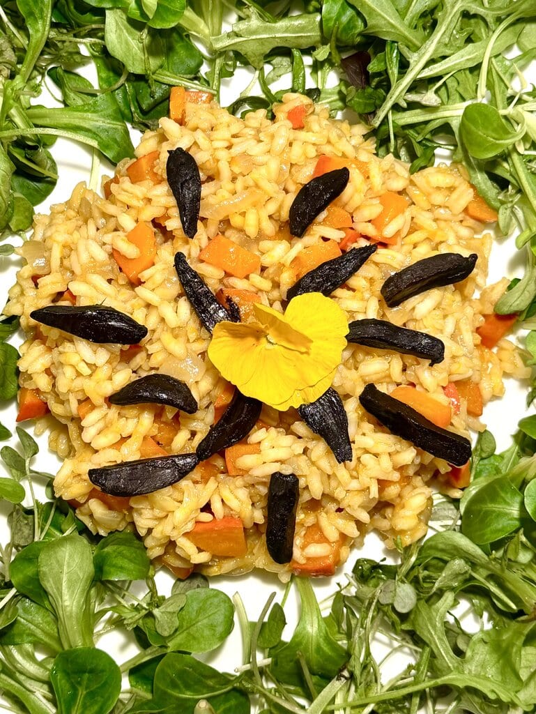 assiette qui présente un risotto au potimarron à l'ail noir