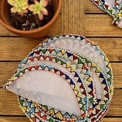 Voile de protection anti insecte pour saladier (25cm)