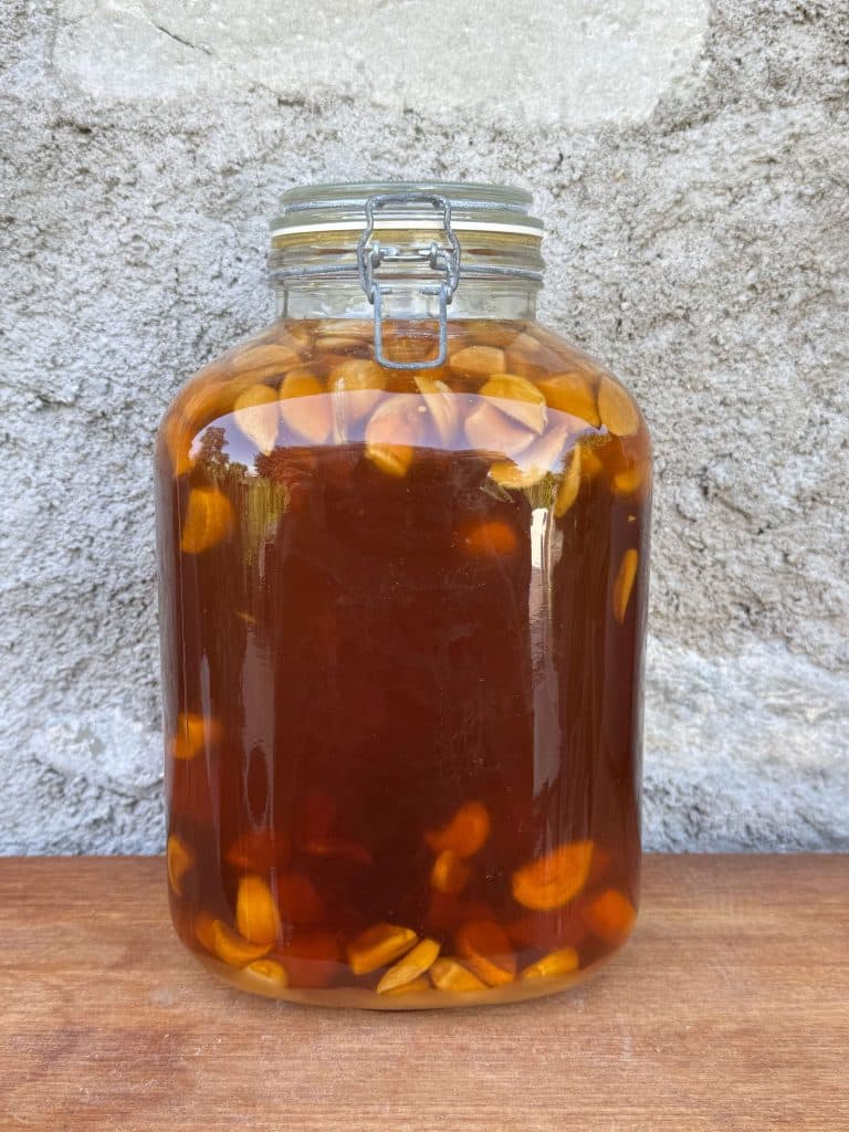 Gousses d'ail fermentées dans un bocal de miel